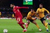 Tip bóng đá 16/02 21:00 Liverpool vs Wolves: Tìm lại chiến thắng
